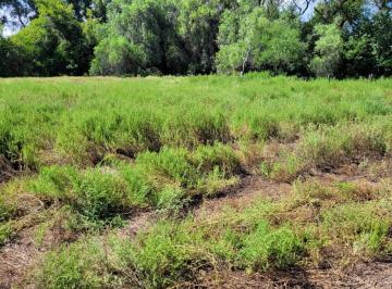 Terreno · 17000m² · Terreno en Las Encrucijadas Lote Villa Dolores Cordoba 17000 m²