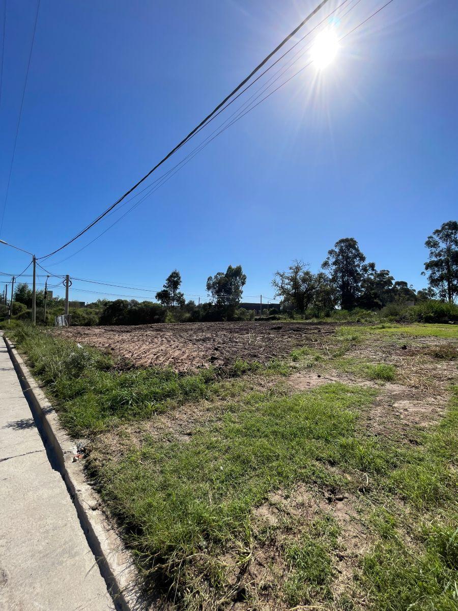 Dos Terrenos en venta ubicado en Rodríguez Selvetti