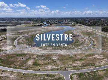 Terreno · 584m² · Por Qué Vivir en un Lote en El Barrio Silvestre Nordelta, Venta 585 M&sup2;? (Video)
