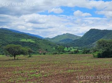 Campo · 27000000m² · Venta de Finca - Campo - Mixto - Arroyo - Bosques - 2700 Ha