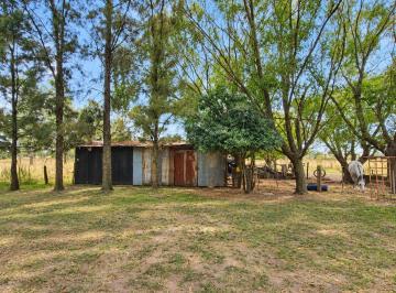 Terreno , Cañuelas · Terreno de 12420 m² en Venta en Uribelarrea