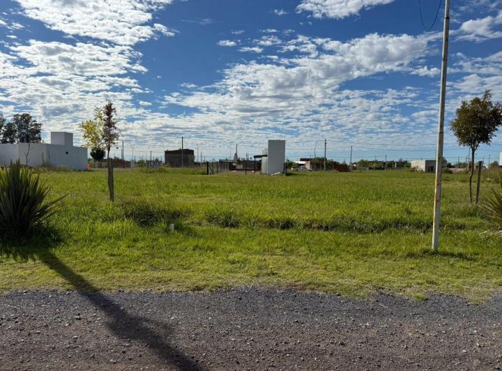 Terreno · 345m²