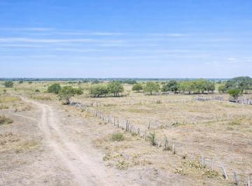 FUG-SPF-1132_2 · Campo 1243 Hectáreas |. | La Sarita