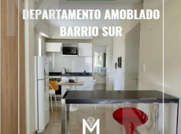 Departamento · 1 Ambiente · Departamento en Barrio Sur