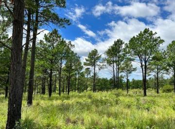 Campo · 400000m² · Vendo 40 Has de Campo en Yacanto