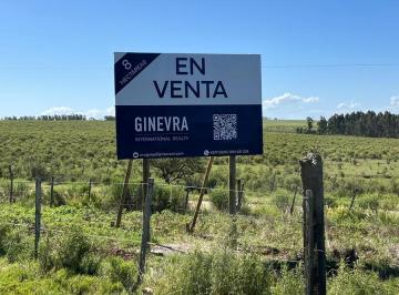 Terreno · 80000m² · Terreno en Camino Medellin