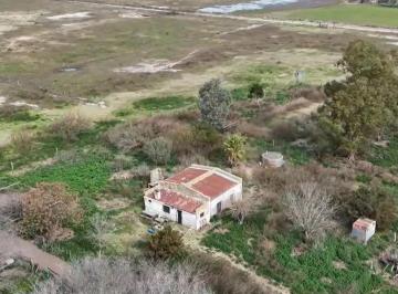 Campo · 120000m² · Chacra de 12 Has en Pehuajó