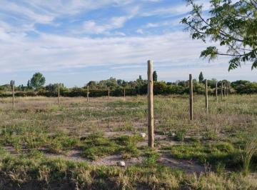 Terreno Venta  · Lote 517 m² Lomas de Cascia San Rafael Mendoza
