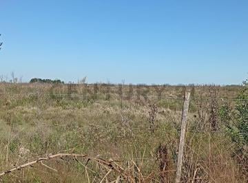 Campo · 100m² · Campo/fracción en General Rodríguez Venta en Block o en Lotes. Desarrollo Inmobiliario.