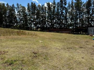 Casa de 1 ambiente, San Pedro · Lote 1000 m² - Cerca del Río y a Pocos Minutos de La Ciudad
