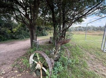 Quinta vacacional de 5 ambientes, Villa Nueva · Vendo Hermosa Quinta con 3 Hectáreas