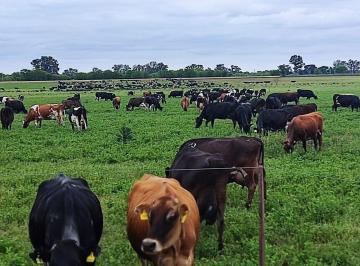 Campo · 5000000m² · 5 Ambientes · 10 Cocheras · Tambo Fondo de Comercio en Venta Navarro Provincia de Buenos Aires