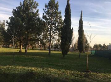 Terreno · 1143m² · Lote en Venta en Miralagos I – 1143 m² | Ruta 2 Km 65