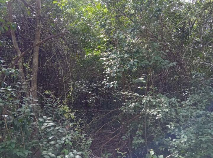 Terreno · 14000m²