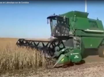 Campo · 2240000m² · Campo 100% Agrícola (Laboulaye)