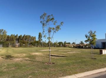 Terreno · 541m² · Lote en Venta Barrio Santa Ana, Villanueva