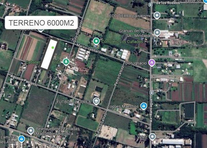 Terreno