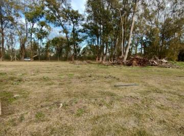 Terreno · 500m² · Terreno en Venta en Barrio Santa Sofia, Pilar del Este