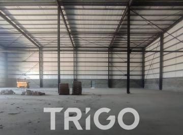 Depósito · 600m² · 1 Ambiente · Alquiler Depósito Nave Industrial 600 m² a Estrenar Moreno Autopista Acceso Oeste