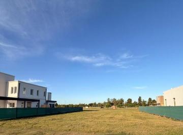 Terreno · 619m² · Terreno de 619 m². en Venta en Village Joven