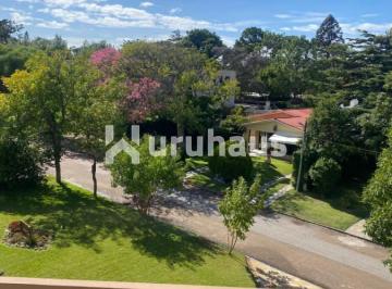Foto1 · Alquiler y Venta Apartamento 2 Dorm en Playa Mansa
