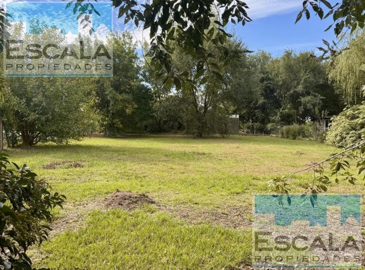 Terreno · 1005m²