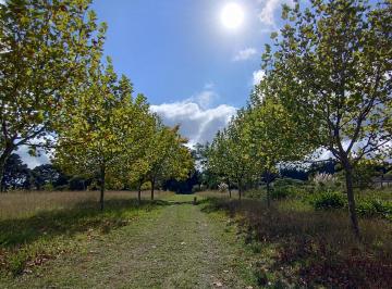 Quinta vacacional de 1 ambiente, Mar del Plata · Casa Quinta en La Gloria de La Peregrina – Sierra de Los Padres