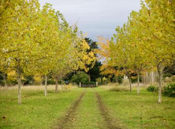Quinta vacacional de 1 ambiente, Mar del Plata · Casa Quinta en La Gloria de La Peregrina – Sierra de Los Padres