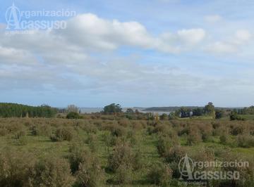 Terreno · 104000m² · Maldonado - Chacra Venta - Ruta 12 - Punta Ballena - Laguna de Sauce