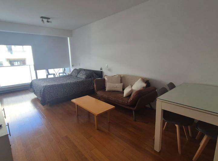Departamento Amueblado Precio Paquete - Pileta - Seguridad 24 Hs - Gym y Laundry - Apto Profesional