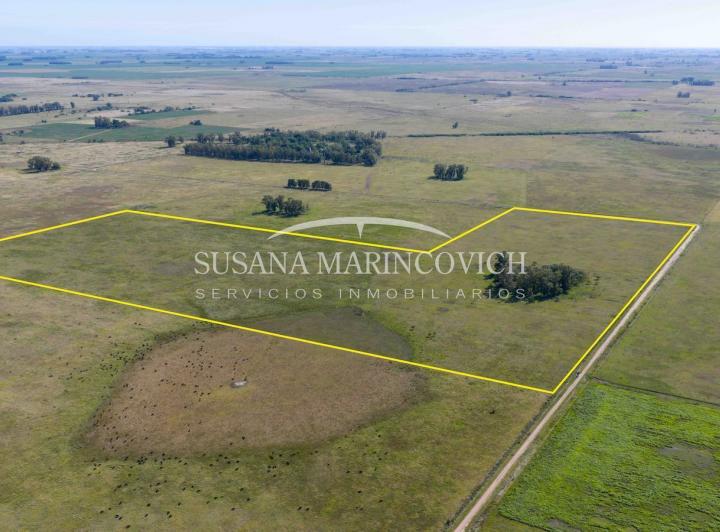 Campo · 85m²