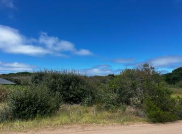 Imagen1 · | Carilo | Venta | Terreno |