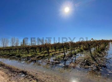 Quinta vacacional · 8396m² · Venta Finca. 5ha Las Violetas, Lavalle.
