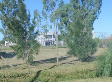 Terreno , La Plata · Lote en Venta Calle 625 y 131.(20 X 30) Usd26.000