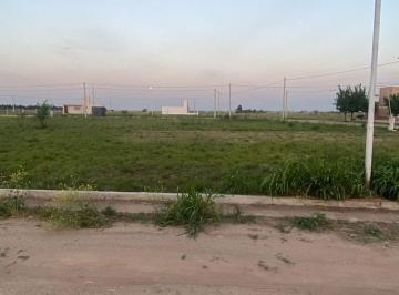 Terreno · 320m² · Venta Lote en Monte Cristo de 320 m