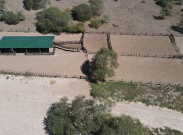 Campo , Gualeguaychú · 1000 Hectáreas Ganaderas Sobre Ruta, Gualeguaychú