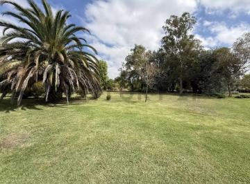 Terreno · 6000m² · Venta Lote San Vicente