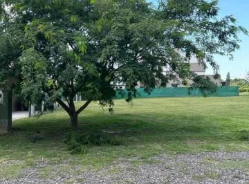 Terreno · 500m² · Terreno en Los Nogales