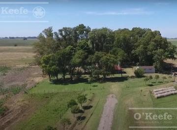 Campo · 6200000m² · 620 Has Mixtas con Mejoras Saladillo