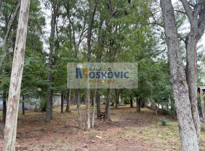 Terreno · 1160m²