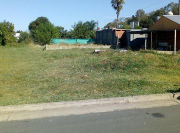 Terreno · 300ha · Terreno en Venta con Mejoras General Lagos