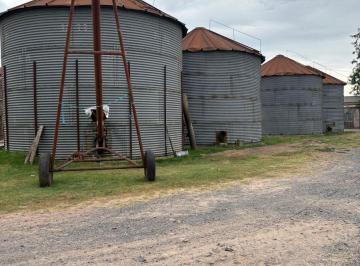 Bodega-Galpón de 6 ambientes, Navarro · Galpones con Silos Amplios Terrenos en Navarro con Dos Galpones con Silos y Balanza – Ruta 40