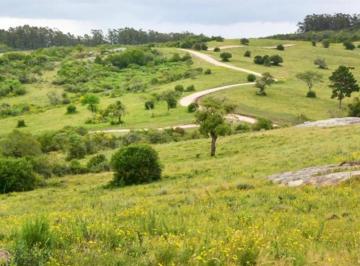 Campo · 50000m² · Chacra 5 Has en Eco Chacras – Garzón – Naturaleza y Privacidad