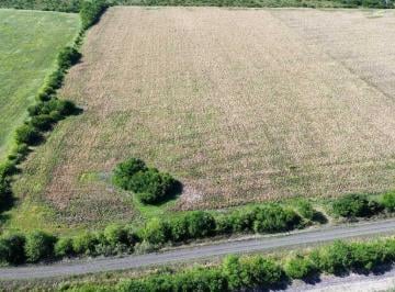 Campo · 220000m² · Vendo Campo 22 Has en Colonia Los Ceibos Entre Ríos