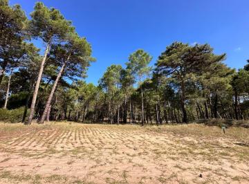 Terreno · 1016m² · Terreno en Barrio "Bosques" Pinamar