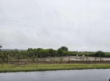 Terreno · 1386m² · Terreno en Venta en Oliveros 1386 m²