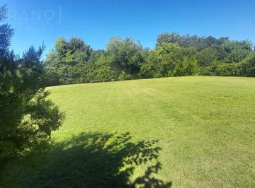 Terreno · 730m² · Venta de Terreno con Mejoras 730 m², Calle Moreno Al 600, Parque Sakura, Exaltación de La Cruz