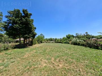 Terreno · 730m² · Venta Lote de 730 m² con Mejoras, Parque Sakura, Exaltacion de La Cruz