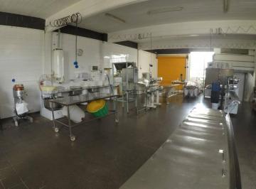 Bodega-Galpón · 400m² · Galpón Industrial Habilitado | 400 m² Sin Columnas + Apto Alimentos + Oficinas Independientes