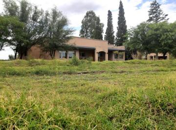 Campo , Goudge · Venta de Campo Ganadero - Goudge, San Rafael, Mendoza